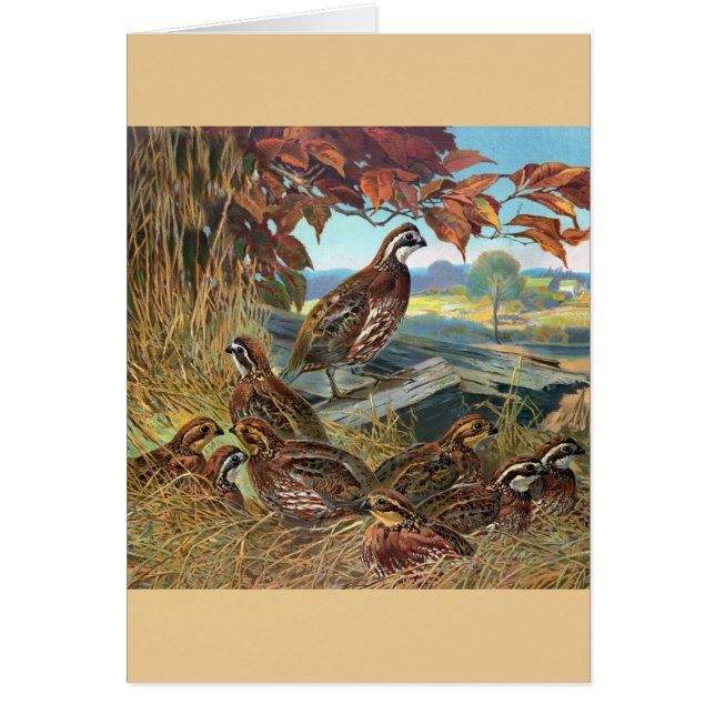Vintage - Quail in Autumn, Cards (Front)