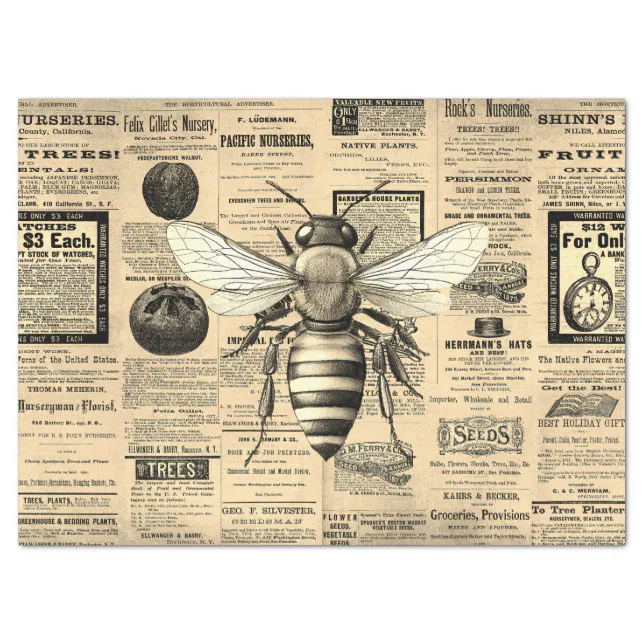 Vintage Queen Bee Horticulture Ads Ephemera Sepia Tissue Paper | Zazzle