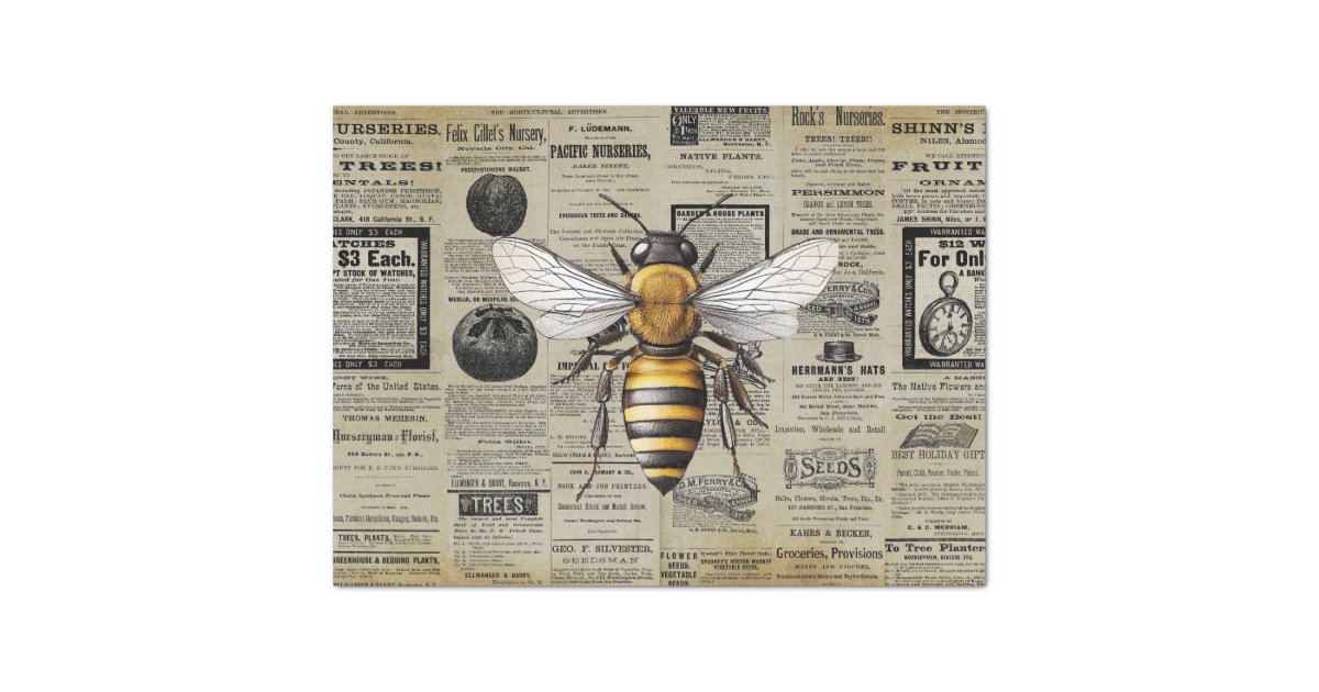 Vintage Queen Bee Horticulture Ads Ephemera Tissue Paper | Zazzle