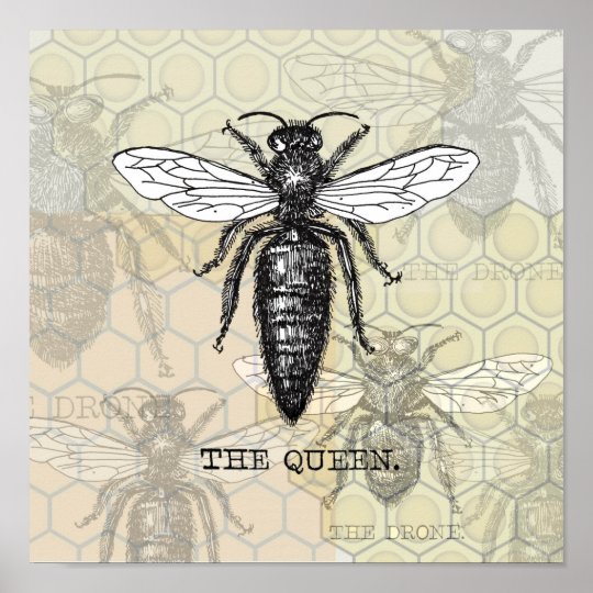 Vintage Queen Bee Illustration Poster | Zazzle.com