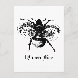 Vintage Queen Bee Postcard