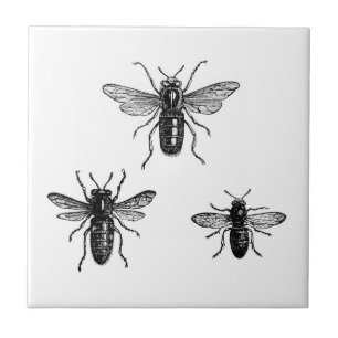 Vintage Queen Bee & Working Bees Illustration Ceramic Tile