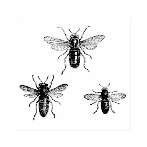 Vintage Queen Bee  Working Bees Illustration Rubber Stamp