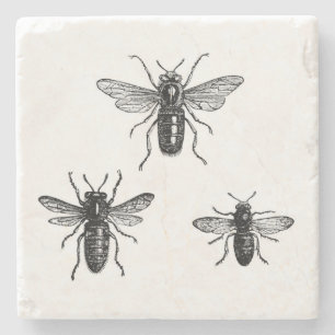 Vintage Queen Bee & Working Bees Illustration Stone Coaster