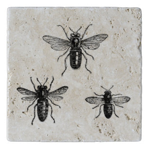 Vintage Queen Bee & Working Bees Illustration Trivet