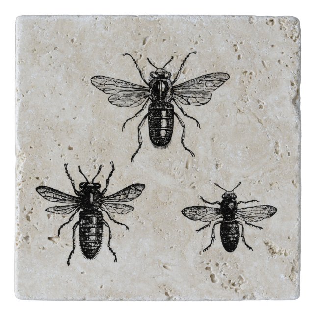 Vintage Queen Bee & Working Bees Illustration Trivet (Front)