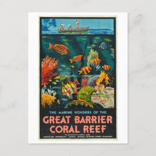 Vintage Queensland Coral Great Barrier Reef Postcard