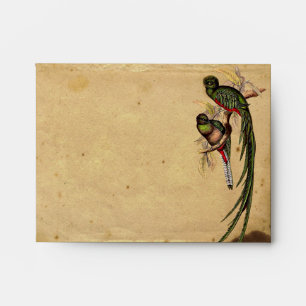 Vintage Quetzal Bird Elegant RSVP Response Envelope