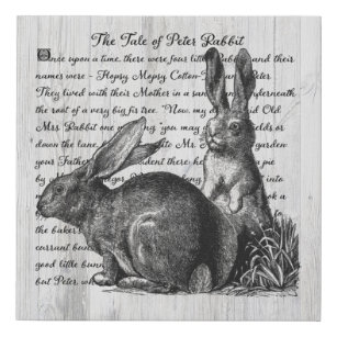 Helen Beatrix Potter Poster The Tale of Peter Rabbit Art Drawing Canvas  Printing (10) Canvas Painting Posters And Prints Wall Art Pictures for  Living