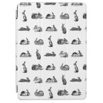 Vintage Rabbit Bunnies Art CUSTOM BACKGROUND COLOR iPad Air Cover