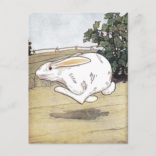 Vintage Rabbit Children's Book Illustration  Postcard (Front)