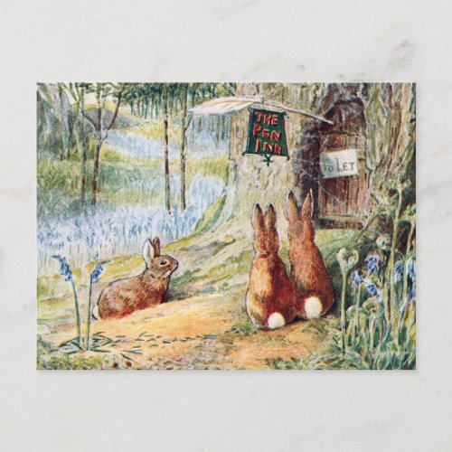 Vintage Rabbit Childrens Book Illustration  Postcard