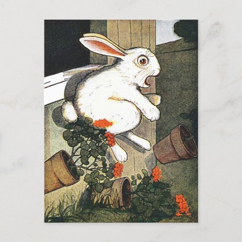 Vintage Rabbit Childrens Book Illustration  Postcard