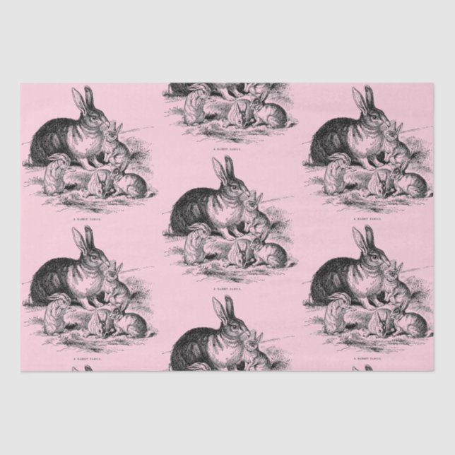Vintage rabbit family - drawing tissue paper (Front)