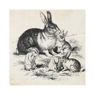 Vintage Rabbit Family Illustration, Baby Bunnies Metal Print