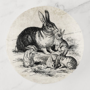 Vintage Rabbit Family Illustration, Baby Bunnies Trinket Tray