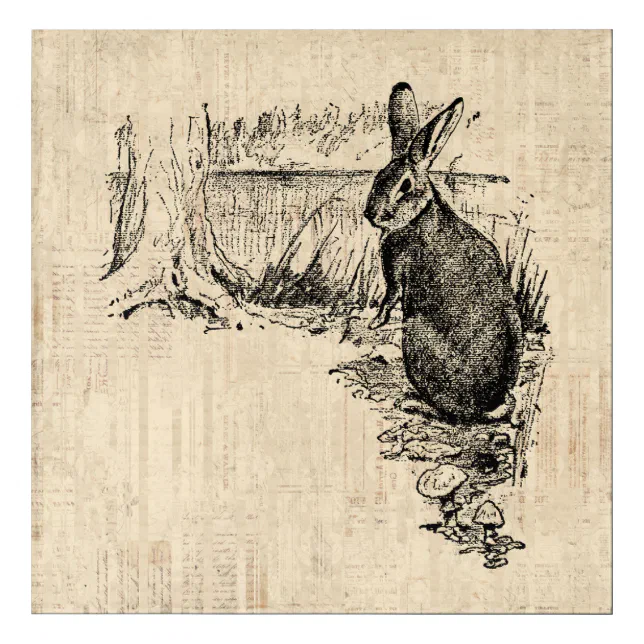 Vintage Rabbit Illustrated Bunny Art | Zazzle