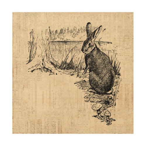 Vintage Rabbit Illustrated Bunny Art