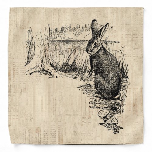 Vintage Rabbit Illustrated Bunny Art Bandana