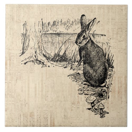 Vintage Rabbit Illustrated Bunny Art Ceramic Tile