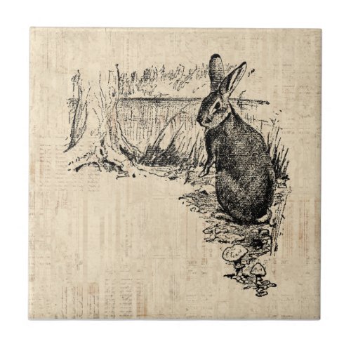 Vintage Rabbit Illustrated Bunny Art Ceramic Tile