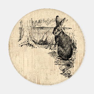 Vintage Rabbit Illustrated Bunny Art Coaster Set