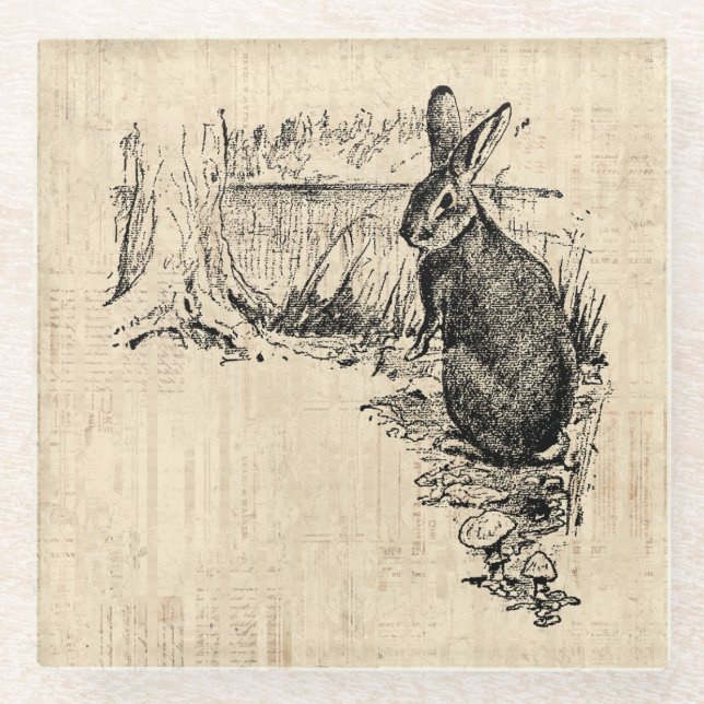 Vintage Rabbit Illustrated Bunny Art Glass Coaster (Front)