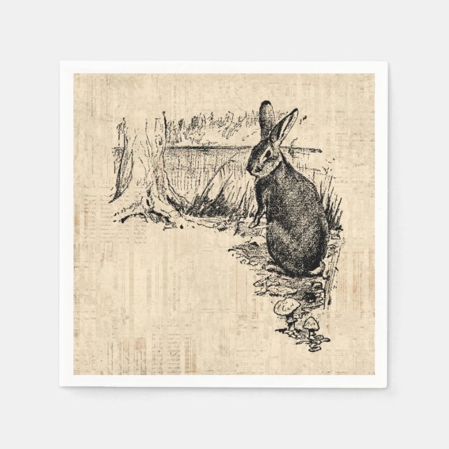 Vintage Rabbit Illustrated Bunny Art Napkins (Front)