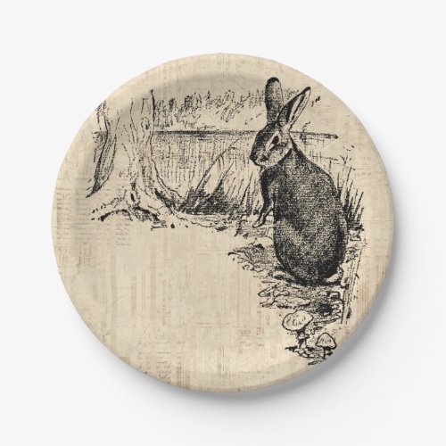 Vintage Rabbit Illustrated Bunny Art Paper Plates