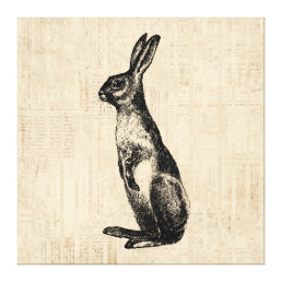 Vintage Rabbit Illustration Old Fashioned Bunny Canvas Print