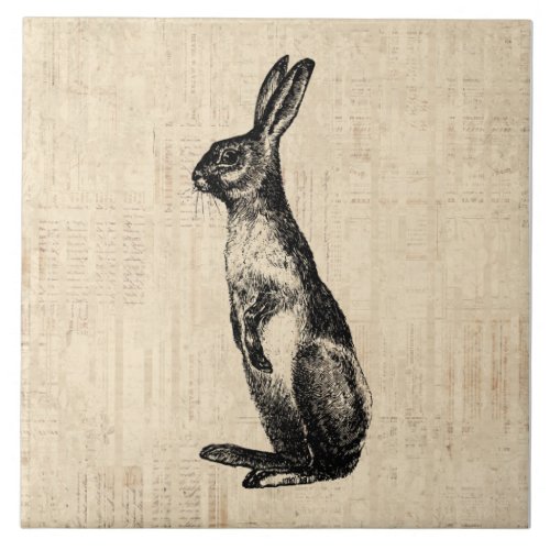 Vintage Rabbit Illustration Old Fashioned Bunny Ceramic Tile