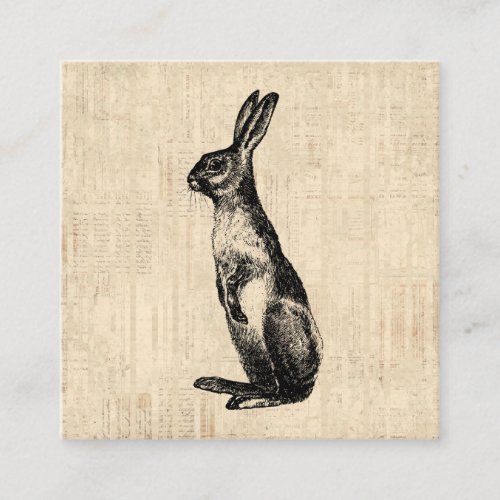 Vintage Rabbit Illustration Old Fashioned Bunny Enclosure Card