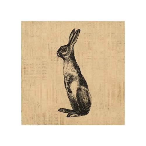 Vintage Rabbit Illustration Old Fashioned Bunny Wood Wall Art