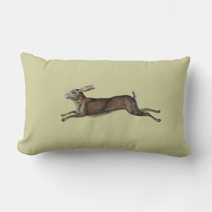 Vintage Rabbit Pillow Zazzle