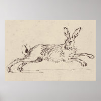 Vintage Rabbit Print