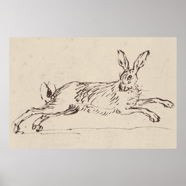 Vintage Rabbit Print (Front)