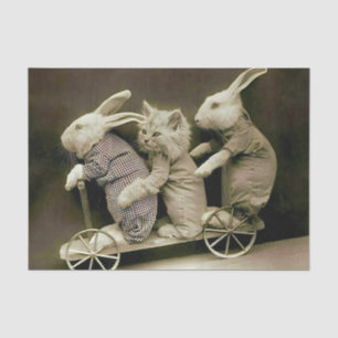 Vintage Rabbits & Cat on Toy Scooter Tissue Paper