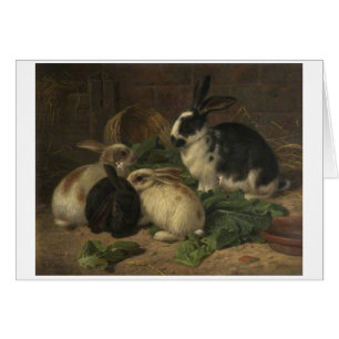 Vintage - Rabbits Eating Lettuce, Cards