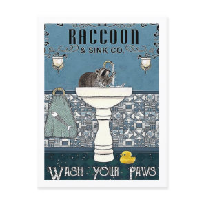 Vintage Raccoon Wash Your Hands Sink Postcard