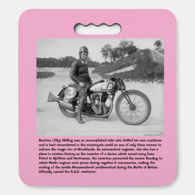 "Vintage RAF " Seat Cushion (Front Vertical)