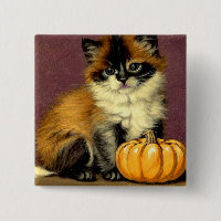 Vintage Ragdoll Halloween Cat
