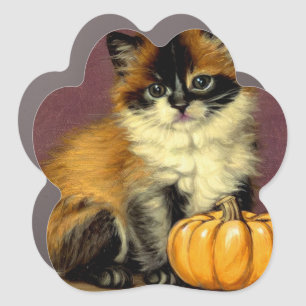 Vintage Ragdoll Halloween Cat Car Magnet