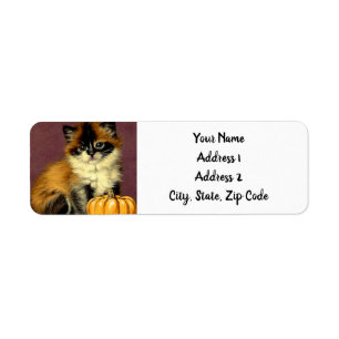 Vintage Ragdoll Halloween Cat Label