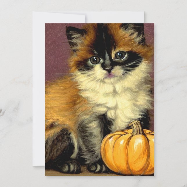 Vintage Ragdoll Halloween Cat Save The Date (Front)