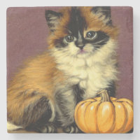 Vintage Ragdoll Halloween Cat