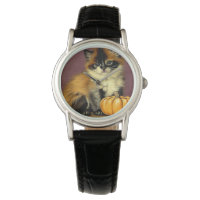 Vintage Ragdoll Halloween Cat