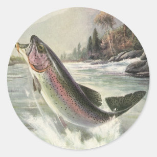 Vintage Rainbow Trout Fisherman Fishing for Fish Classic Round Sticker