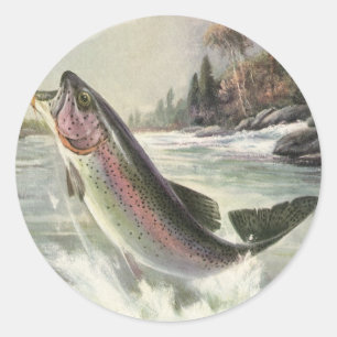 Vintage Rainbow Trout Fisherman Fishing for Fish Classic Round Sticker