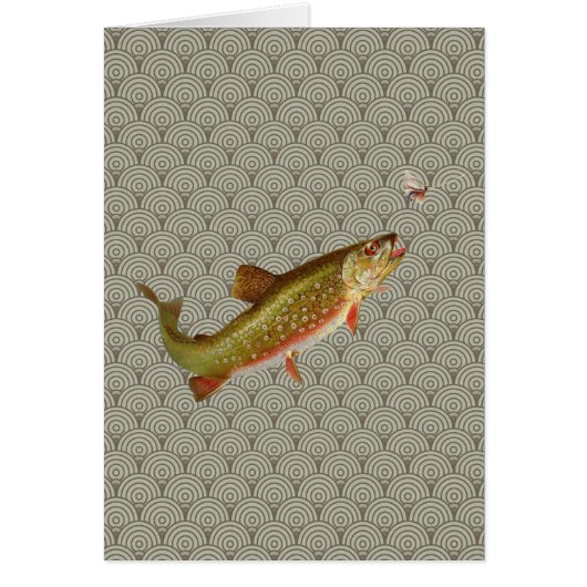 Vintage Rainbow Trout Fly Fishing (Front)