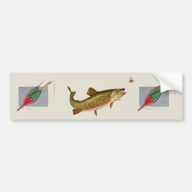Vintage Rainbow Trout Fly Fishing Bumper Sticker (Front)
